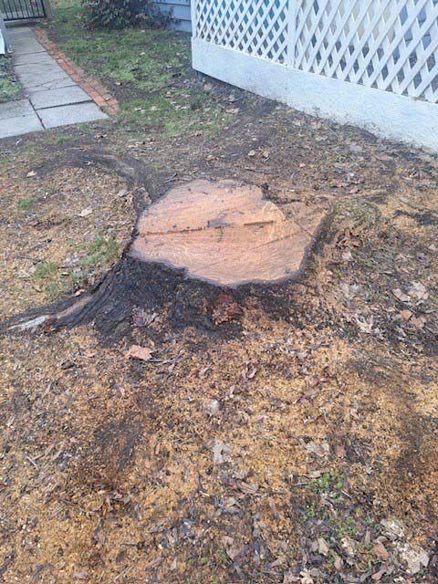 stump removal Kelowna